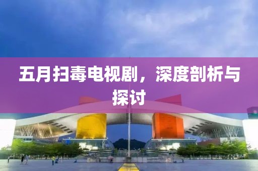 五月扫毒电视剧，深度剖析与探讨