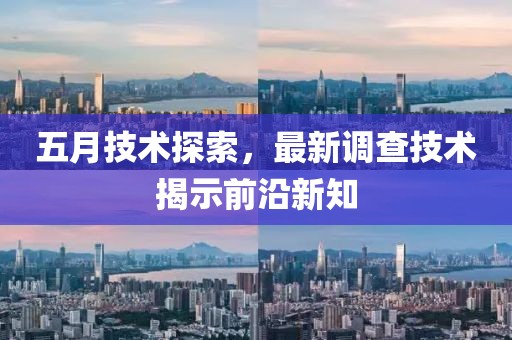 五月技术探索，最新调查技术揭示前沿新知