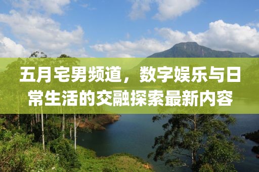 五月宅男频道，数字娱乐与日常生活的交融探索最新内容