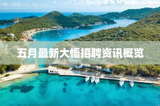 五月最新大悟招聘资讯概览