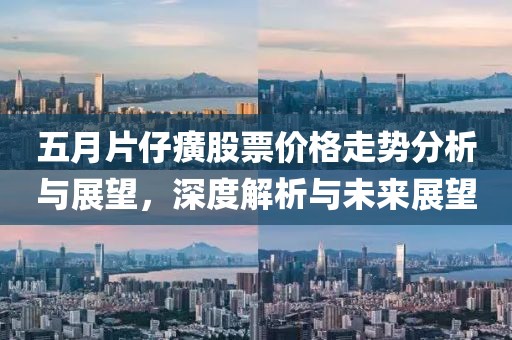 五月片仔癀股票价格走势分析与展望，深度解析与未来展望