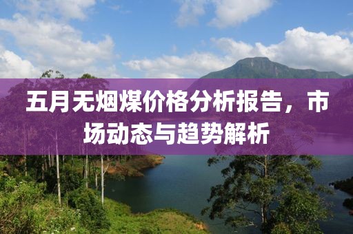 五月无烟煤价格分析报告，市场动态与趋势解析