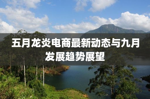 五月龙炎电商最新动态与九月发展趋势展望