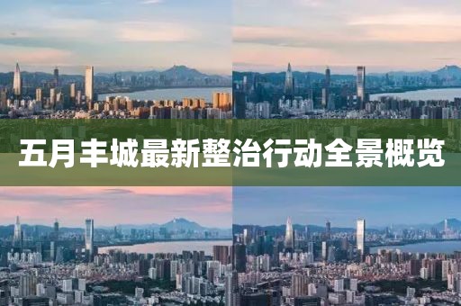 五月丰城最新整治行动全景概览