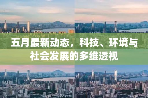 五月最新动态，科技、环境与社会发展的多维透视