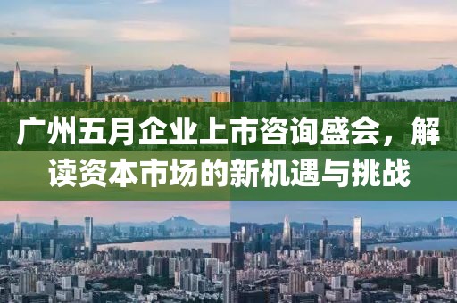 广州五月企业上市咨询盛会，解读资本市场的新机遇与挑战
