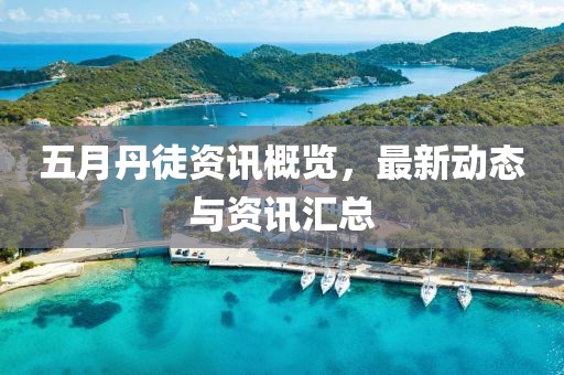 五月丹徒资讯概览，最新动态与资讯汇总