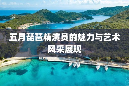 五月琵琶精演员的魅力与艺术风采展现