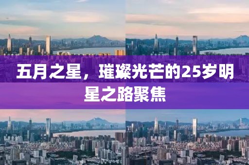 五月之星，璀璨光芒的25岁明星之路聚焦