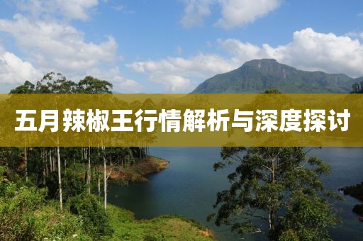 五月辣椒王行情解析与深度探讨