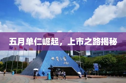 五月单仁崛起，上市之路揭秘