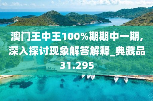 澳门王中王100%期期中一期,深入探讨现象解答解释_典藏品31.295