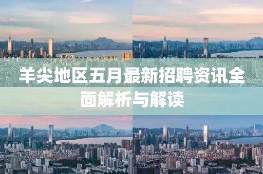 羊尖地区五月最新招聘资讯全面解析与解读