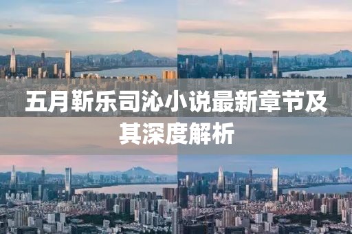 五月靳乐司沁小说最新章节及其深度解析