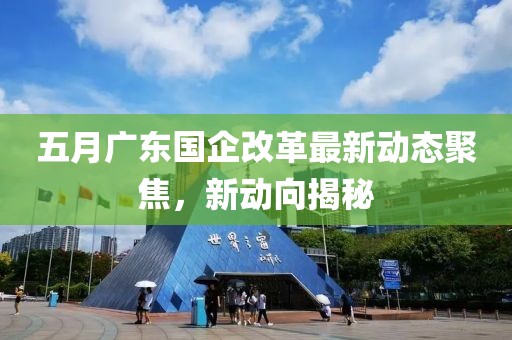 五月广东国企改革最新动态聚焦，新动向揭秘