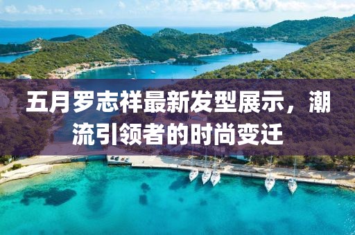五月罗志祥最新发型展示，潮流引领者的时尚变迁