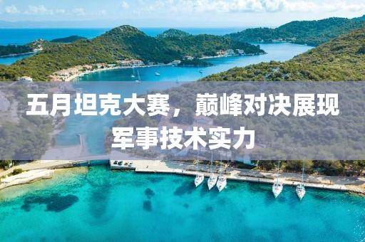 五月坦克大赛，巅峰对决展现军事技术实力