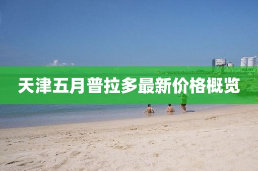天津五月普拉多最新价格概览
