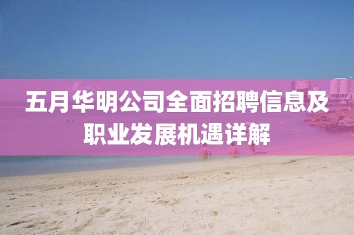 五月华明公司全面招聘信息及职业发展机遇详解