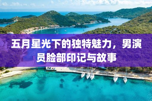 五月星光下的独特魅力，男演员脸部印记与故事