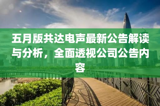 五月版共达电声最新公告解读与分析，全面透视公司公告内容
