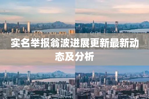 实名举报翁波进展更新最新动态及分析