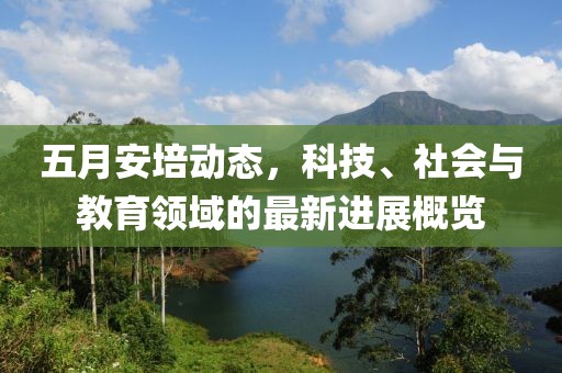 五月安培动态，科技、社会与教育领域的最新进展概览