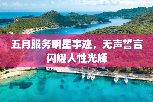 五月服务明星事迹，无声誓言闪耀人性光辉