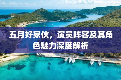 五月好家伙，演员阵容及其角色魅力深度解析