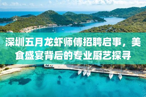 深圳五月龙虾师傅招聘启事，美食盛宴背后的专业厨艺探寻