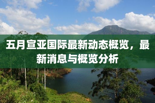 五月宣亚国际最新动态概览，最新消息与概览分析