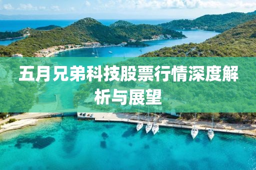 五月兄弟科技股票行情深度解析与展望