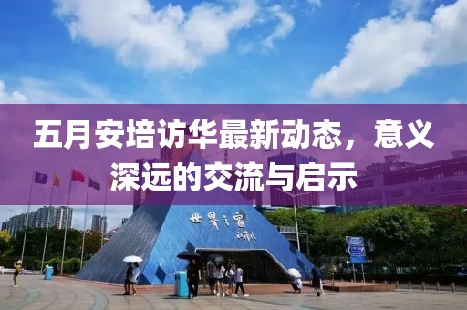 五月安培访华最新动态，意义深远的交流与启示