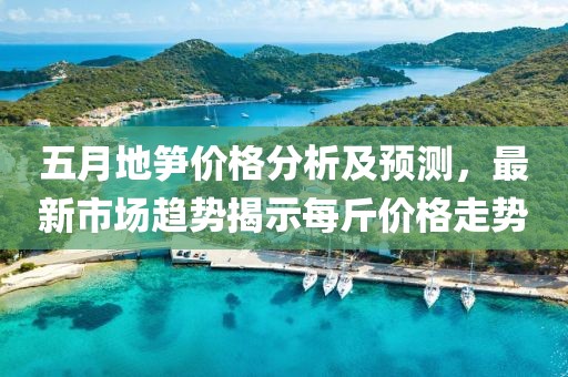 五月地笋价格分析及预测，最新市场趋势揭示每斤价格走势