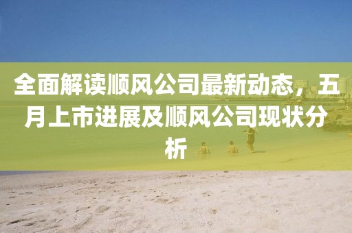 全面解读顺风公司最新动态，五月上市进展及顺风公司现状分析