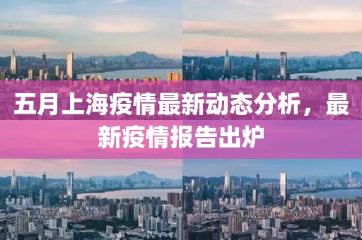 五月上海疫情最新动态分析，最新疫情报告出炉