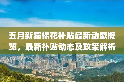 五月新疆棉花补贴最新动态概览，最新补贴动态及政策解析