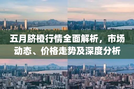 五月脐橙行情全面解析，市场动态、价格走势及深度分析