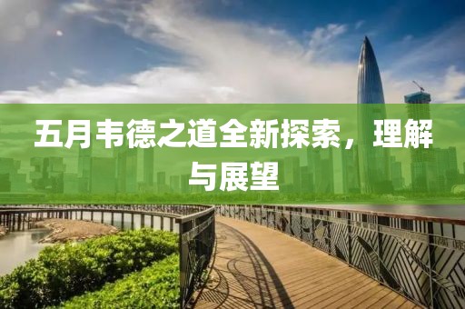 五月韦德之道全新探索，理解与展望