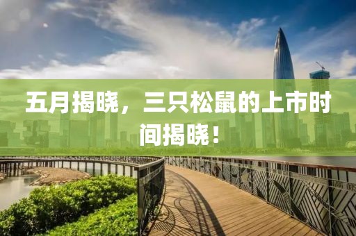五月揭晓，三只松鼠的上市时间揭晓！