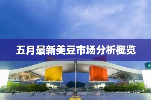 五月最新美豆市场分析概览