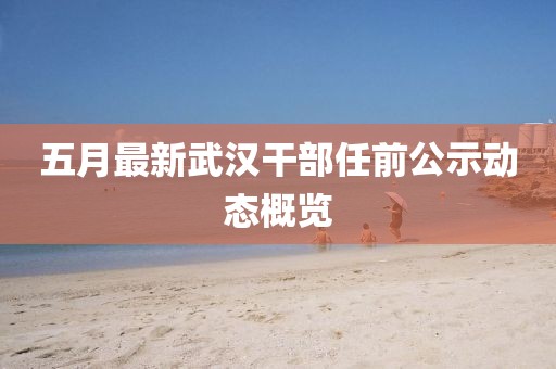 五月最新武汉干部任前公示动态概览
