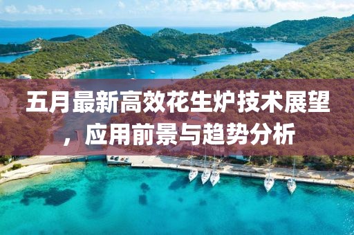五月最新高效花生炉技术展望，应用前景与趋势分析