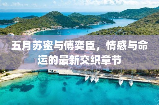 五月苏蜜与傅奕臣，情感与命运的最新交织章节