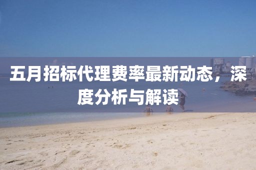 五月招标代理费率最新动态，深度分析与解读