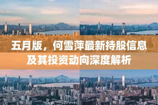 五月版，何雪萍最新持股信息及其投资动向深度解析