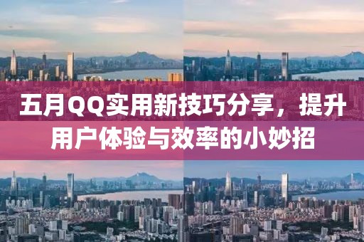 五月QQ实用新技巧分享，提升用户体验与效率的小妙招