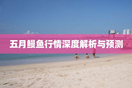 五月鳗鱼行情深度解析与预测