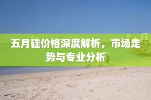 五月硅价格深度解析，市场走势与专业分析