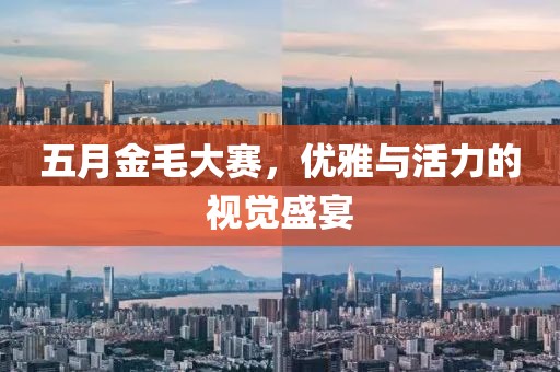 五月金毛大赛，优雅与活力的视觉盛宴